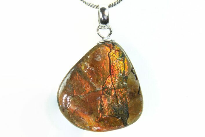 Brilliant Ammolite Pendant (Necklace) - Alberta, Canada #296069